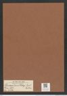 Pseudauliscus debyi Lend.-Fortm. (de-Toni-Nr.: Genus 172, Species 4421) Zeichnungen Sammlung Grunow Mappe 04356 (Herbarium_W_Grunow_drawings_Folder_04356)